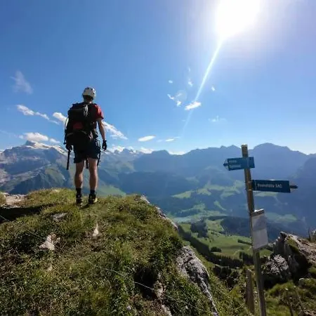 Mountain Retreat Near Titlis With Garden & Views
