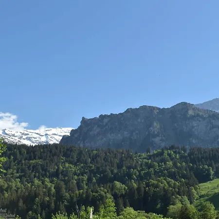 Apartment Mountain Retreat Near Titlis With Garden & Views *
